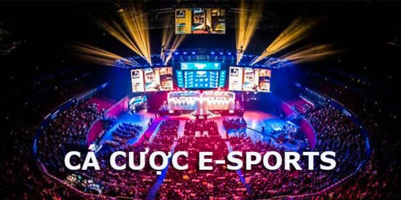 Định nghĩa cá cược esports là gì